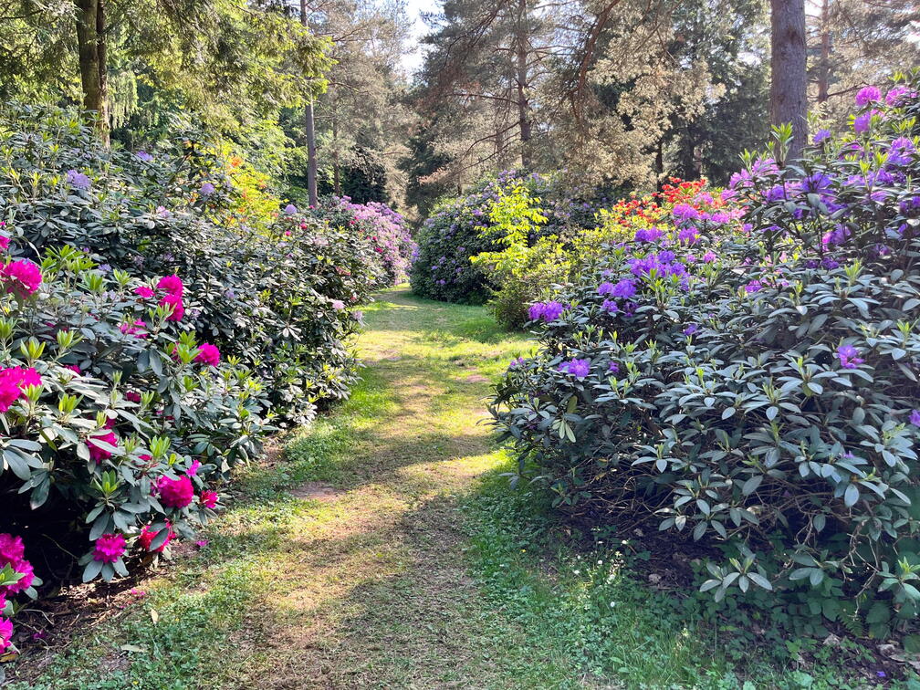 23-06-03 16-45-52 5797